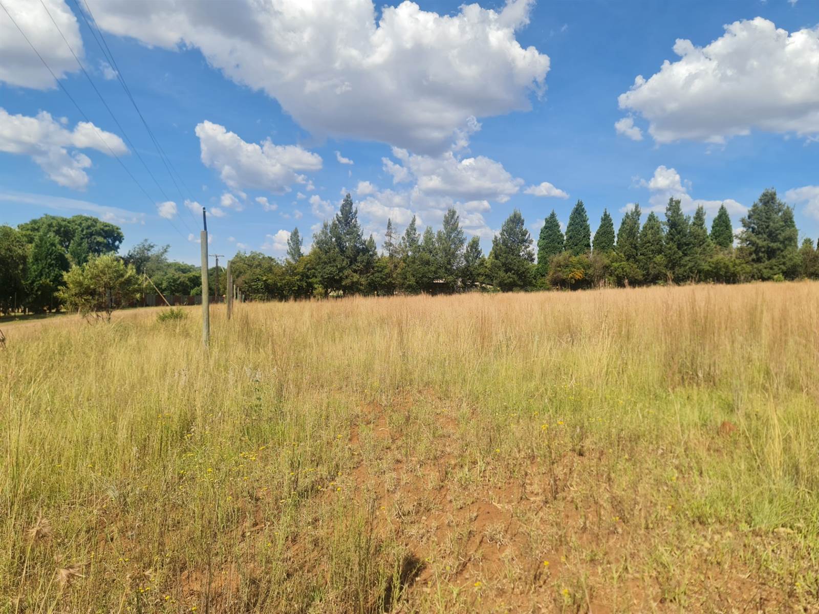 1.7 ha Land available in Tarlton photo number 6