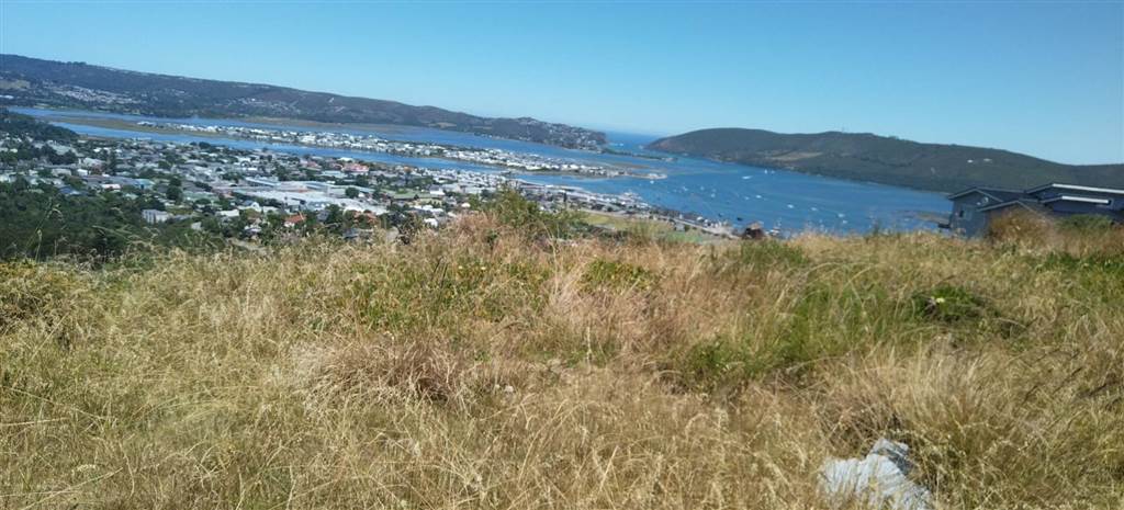 910 m² Land available in Knysna Heights photo number 2