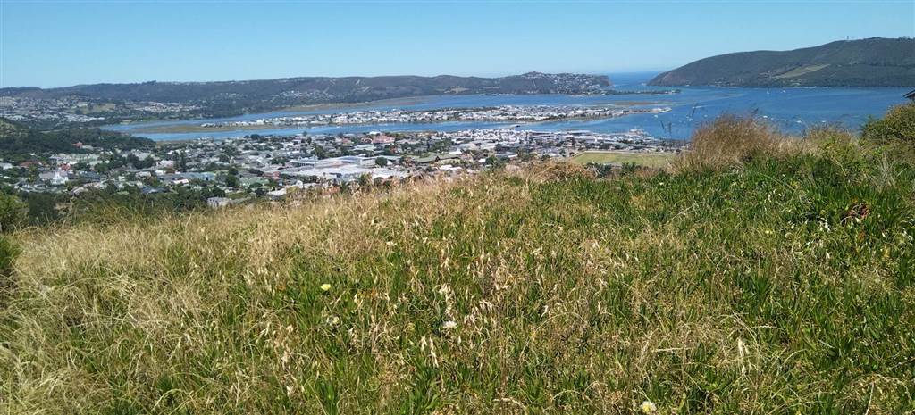 910 m² Land available in Knysna Heights photo number 6