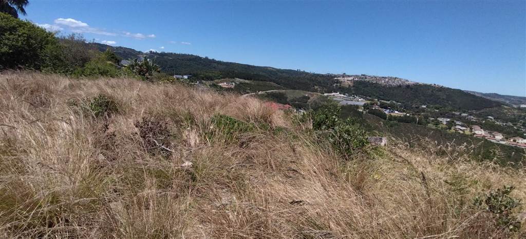 910 m² Land available in Knysna Heights photo number 3