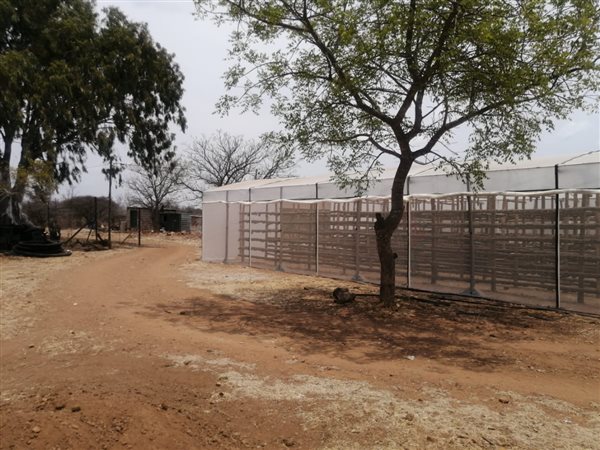8.8 ha Farm in Tweefontein