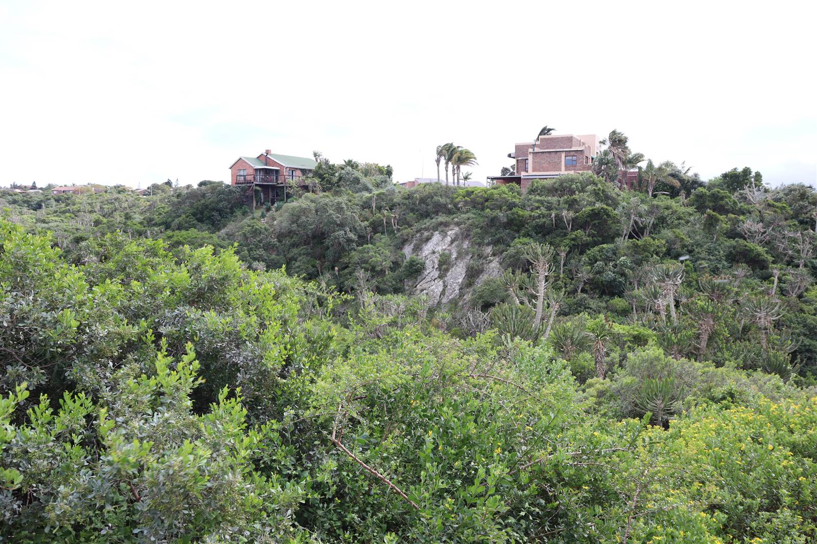 1120 m² Land available in Wavecrest photo number 11