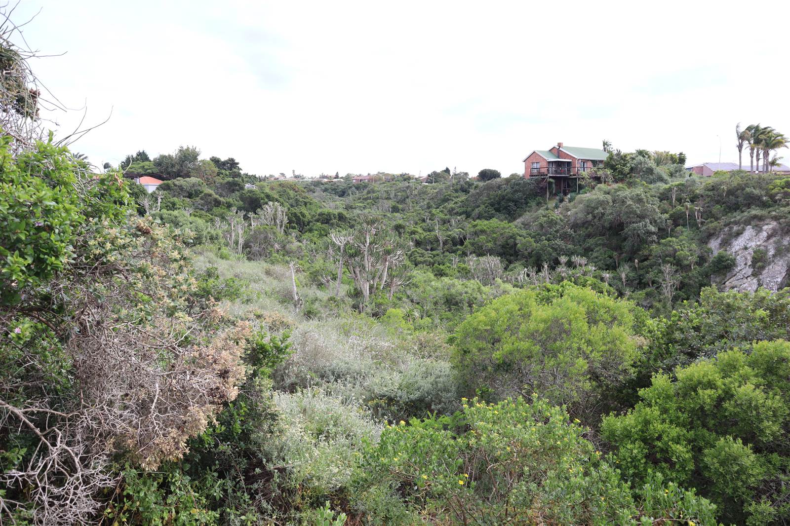 1120 m² Land available in Wavecrest photo number 7