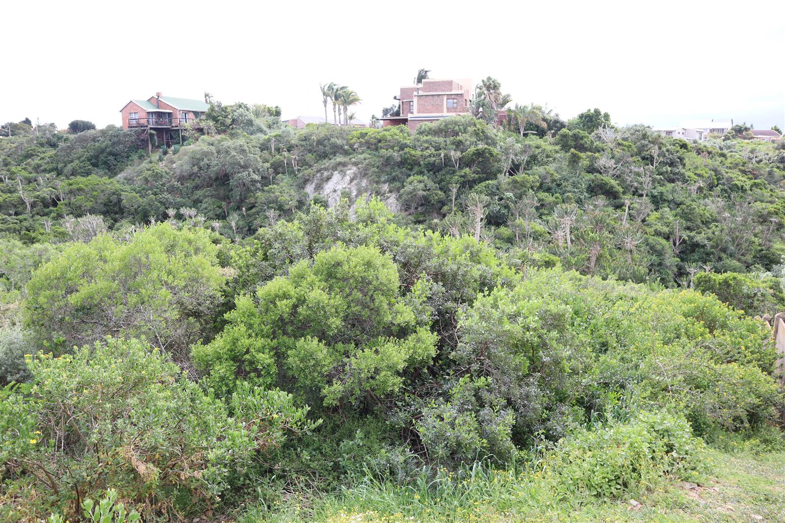 1120 m² Land available in Wavecrest photo number 8