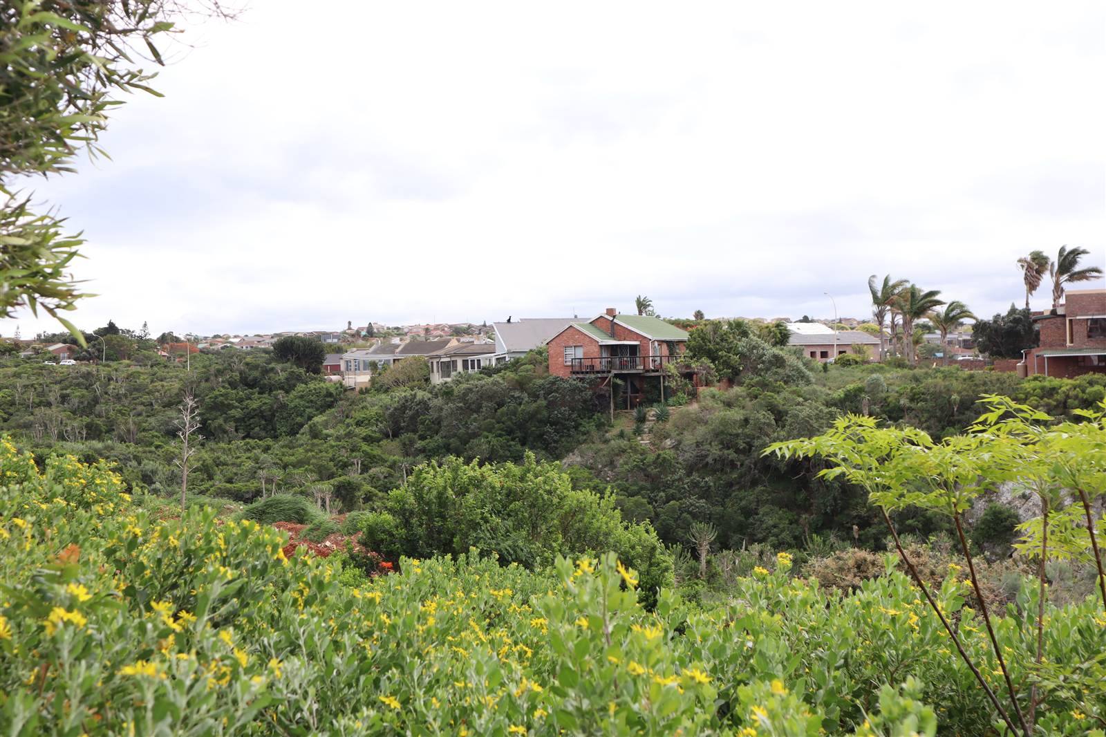 1120 m² Land available in Wavecrest photo number 21