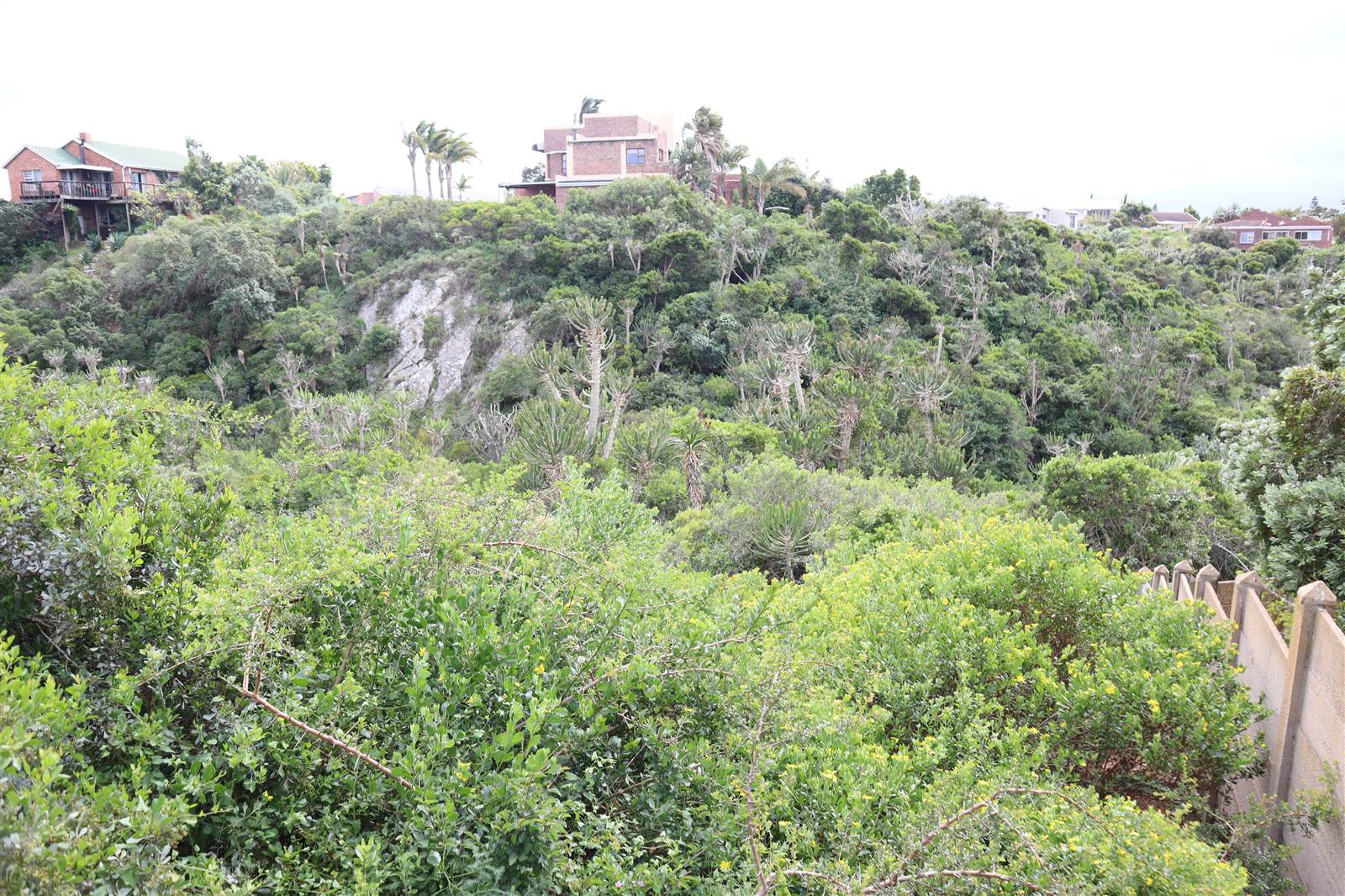 1120 m² Land available in Wavecrest photo number 12