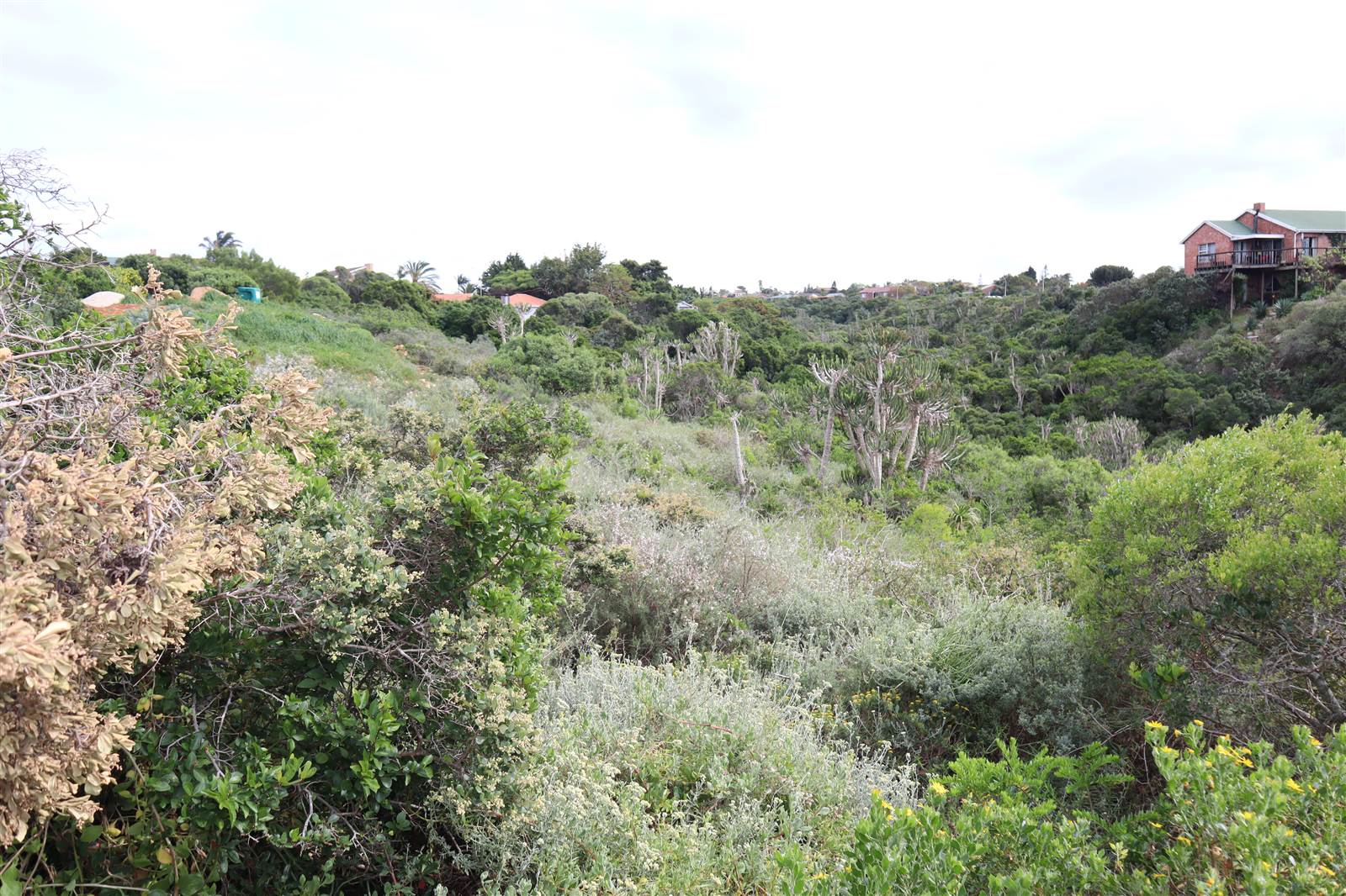 1120 m² Land available in Wavecrest photo number 17