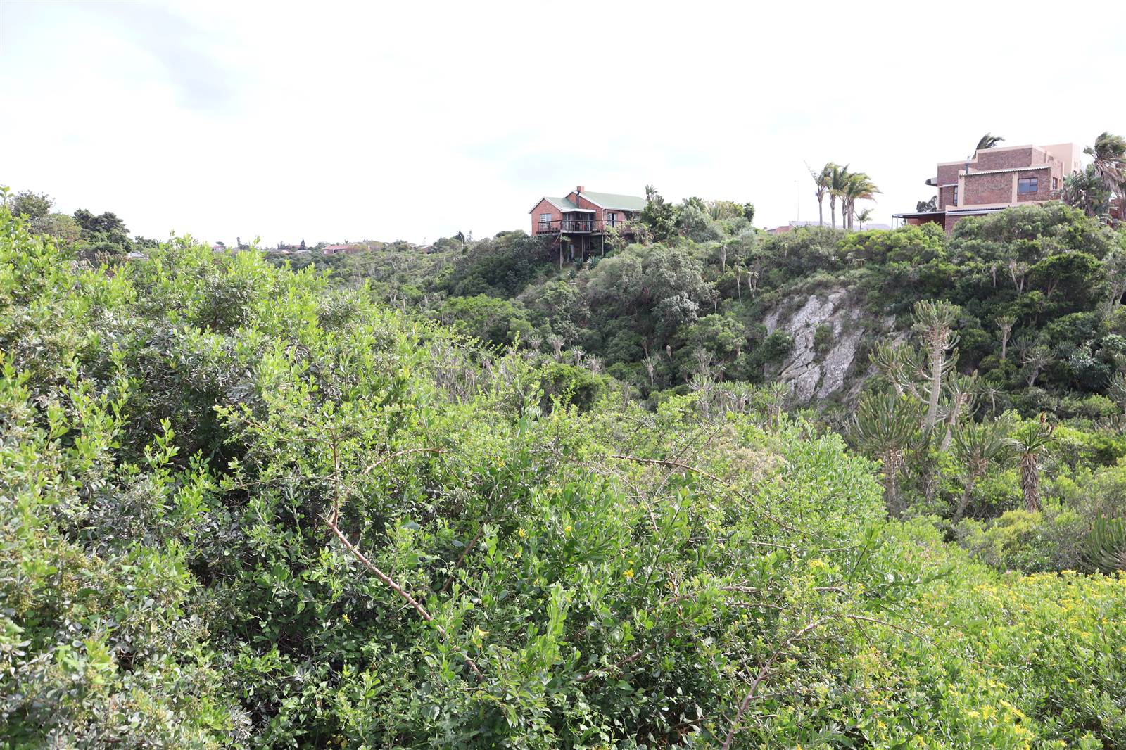 1120 m² Land available in Wavecrest photo number 13