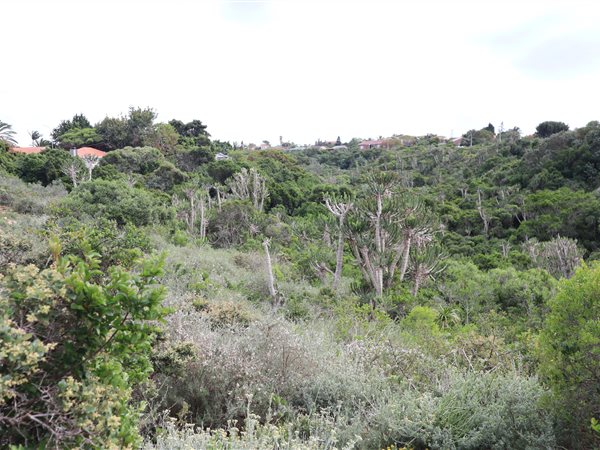 1120 m² Land available in Wavecrest