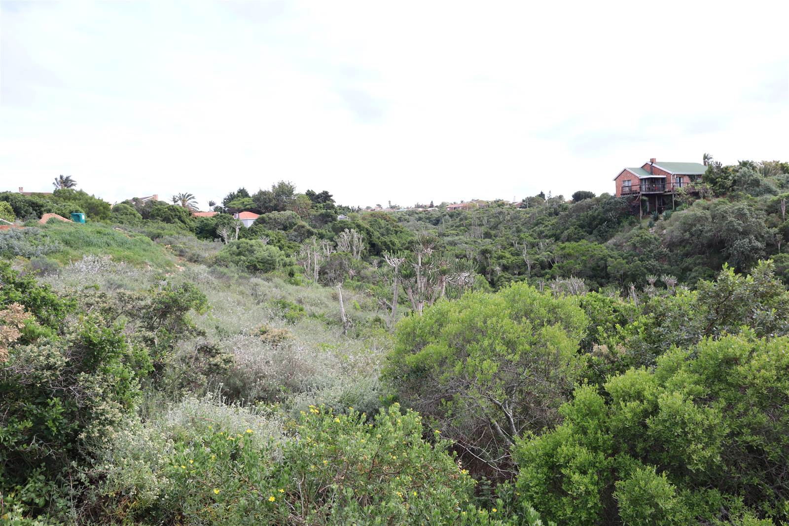 1120 m² Land available in Wavecrest photo number 9