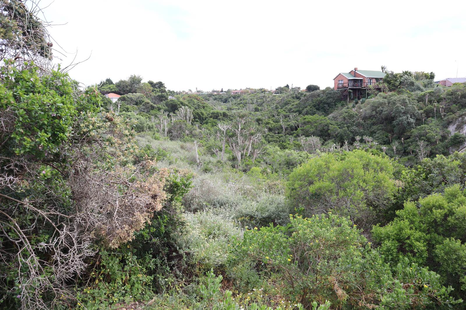 1120 m² Land available in Wavecrest photo number 6
