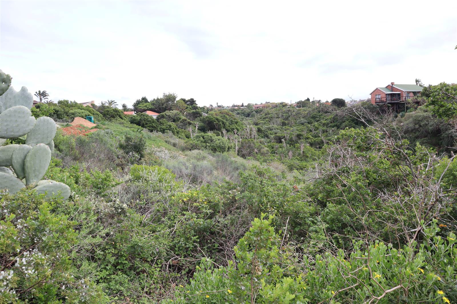 1120 m² Land available in Wavecrest photo number 4
