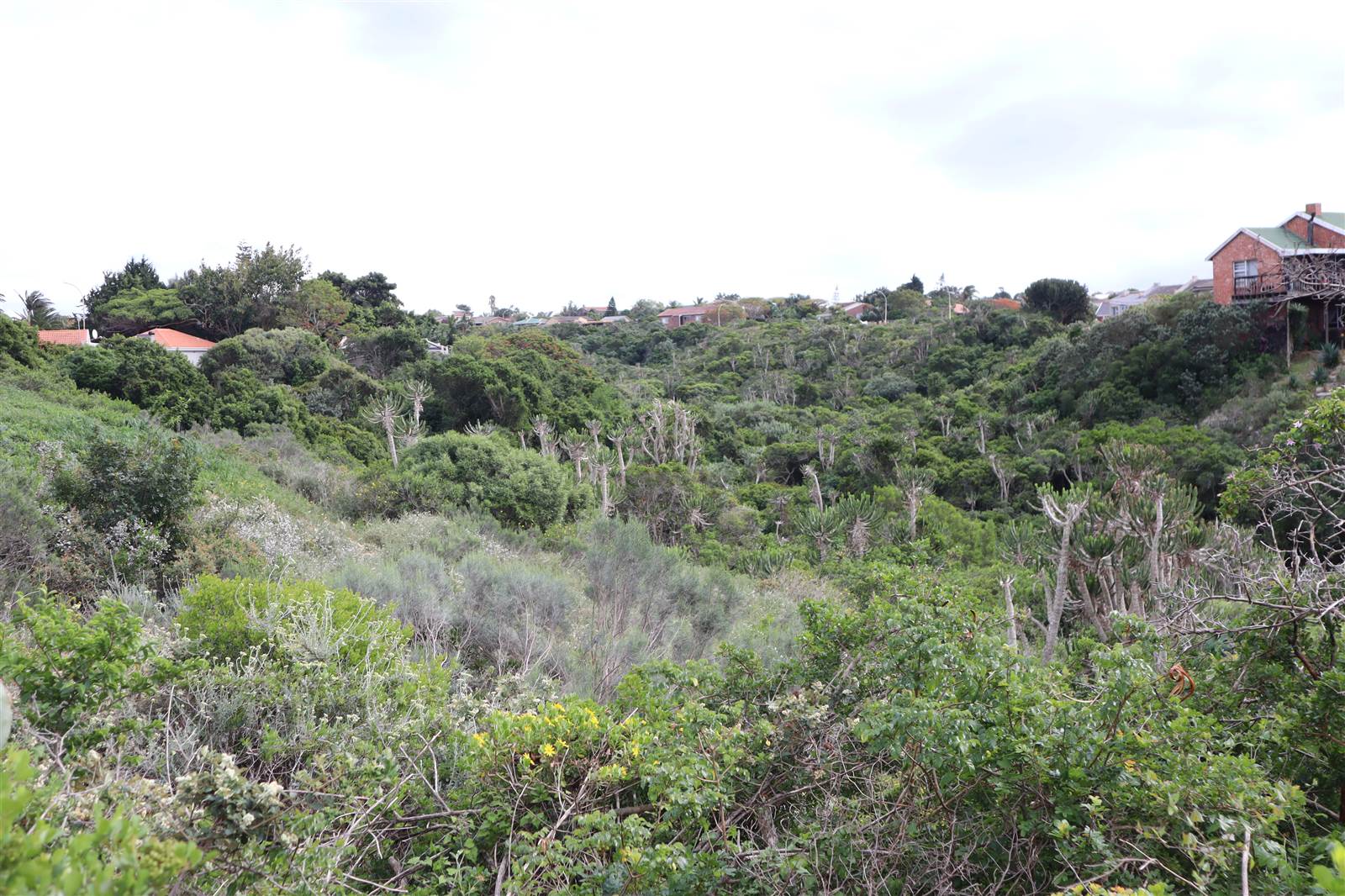 1120 m² Land available in Wavecrest photo number 18