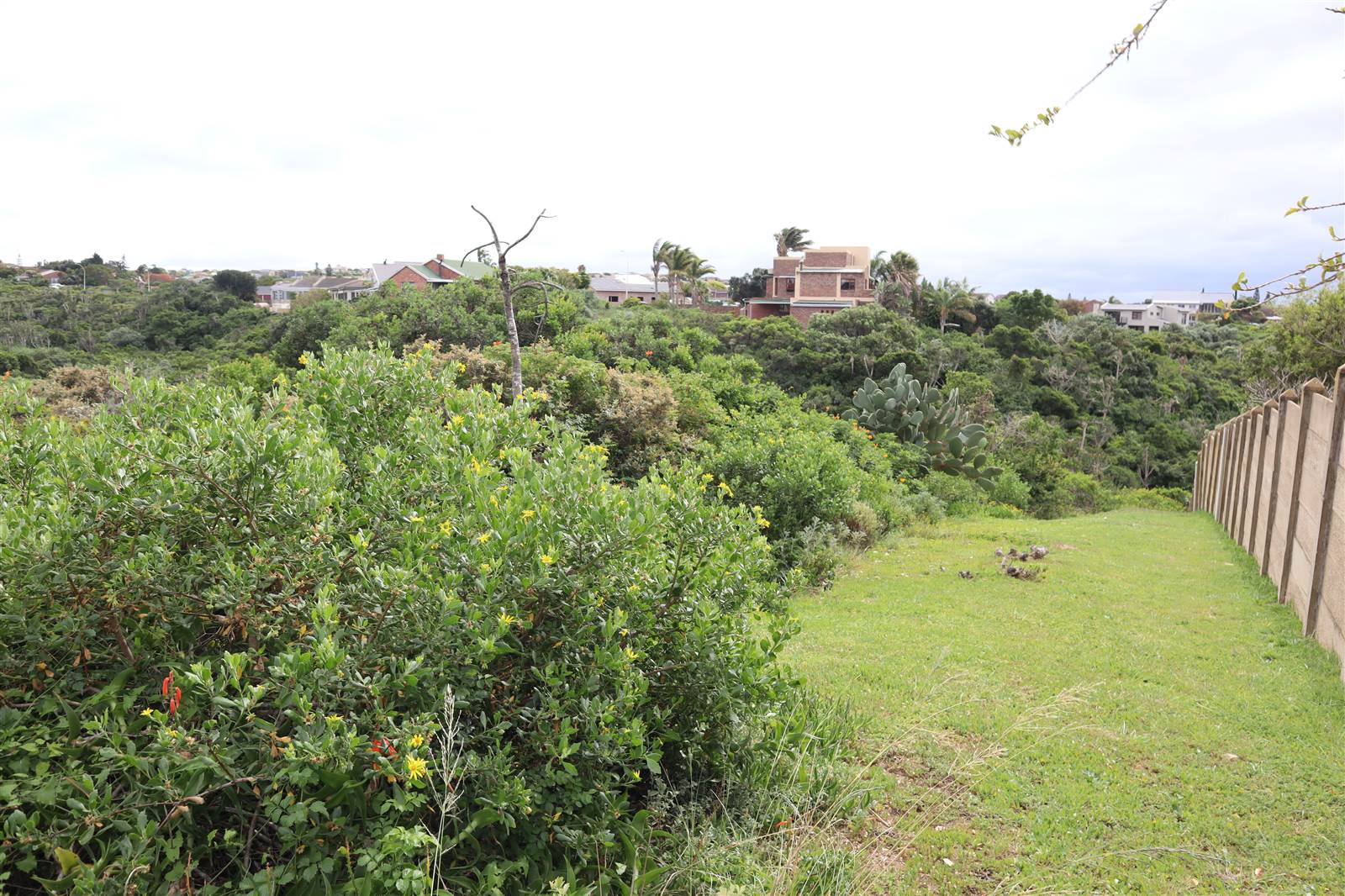 1120 m² Land available in Wavecrest photo number 2