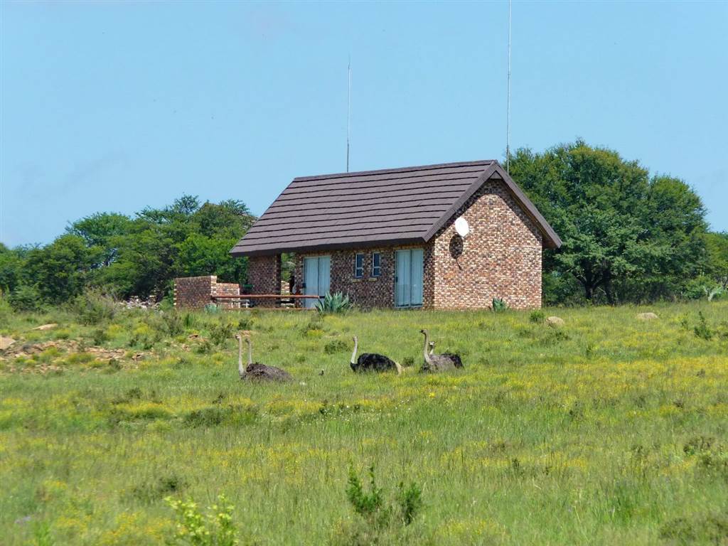 Game Farm in Kroonstad photo number 9