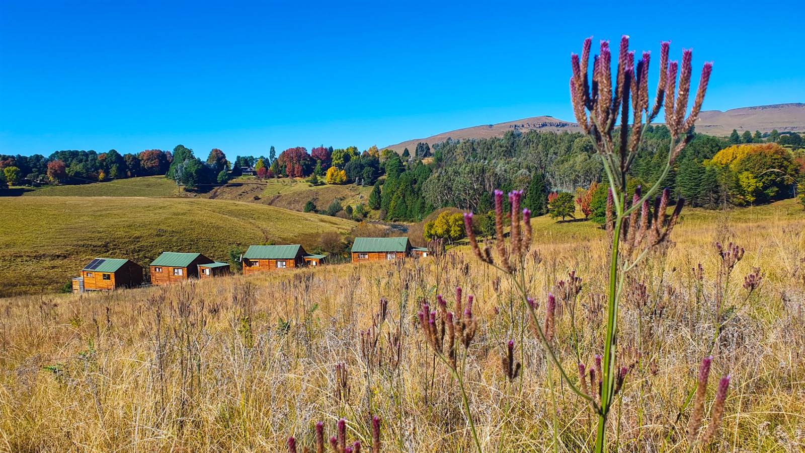 142042 ha Farm for sale in Underberg T4207240 Private Property