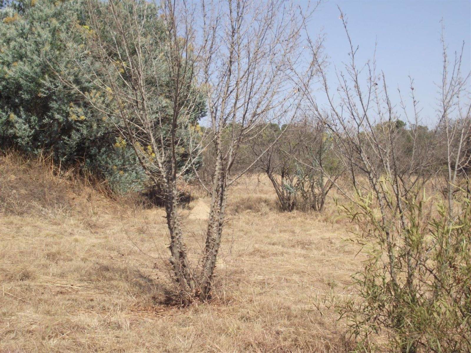 1.1 ha Land available in Doringkloof photo number 7