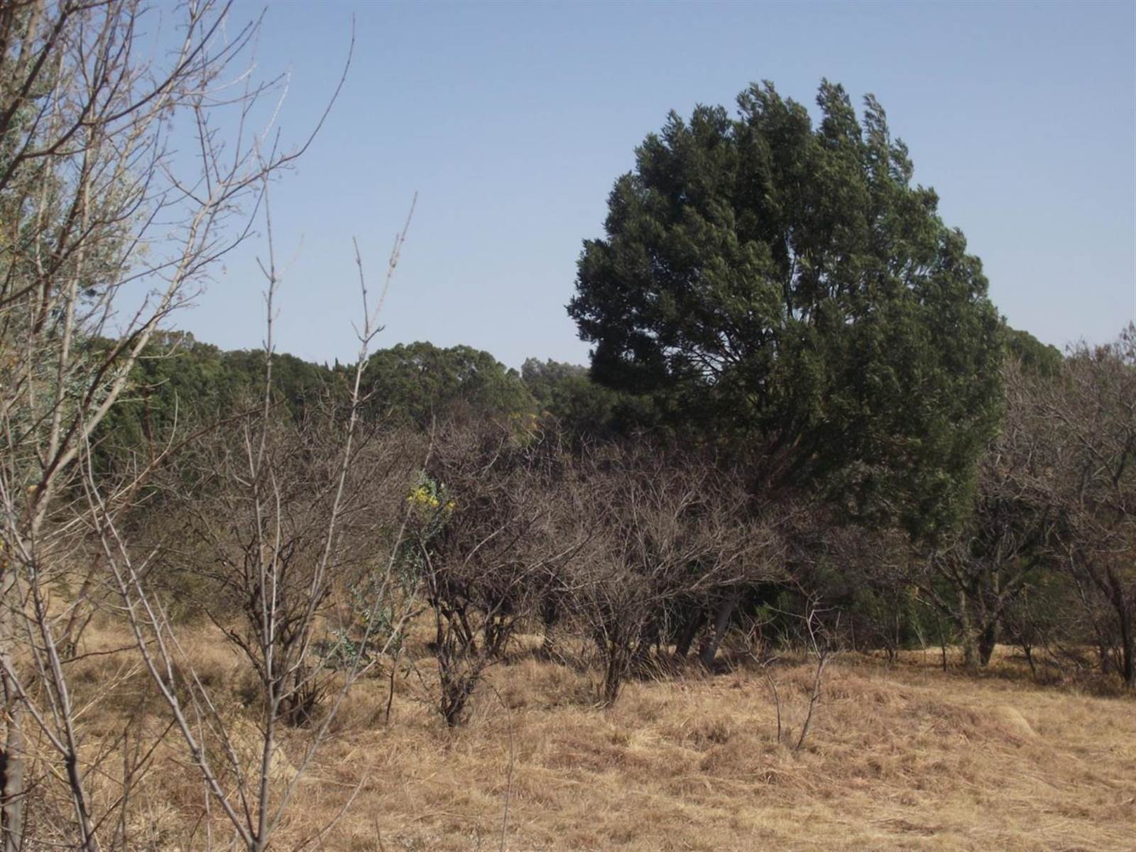 1.1 ha Land available in Doringkloof photo number 10