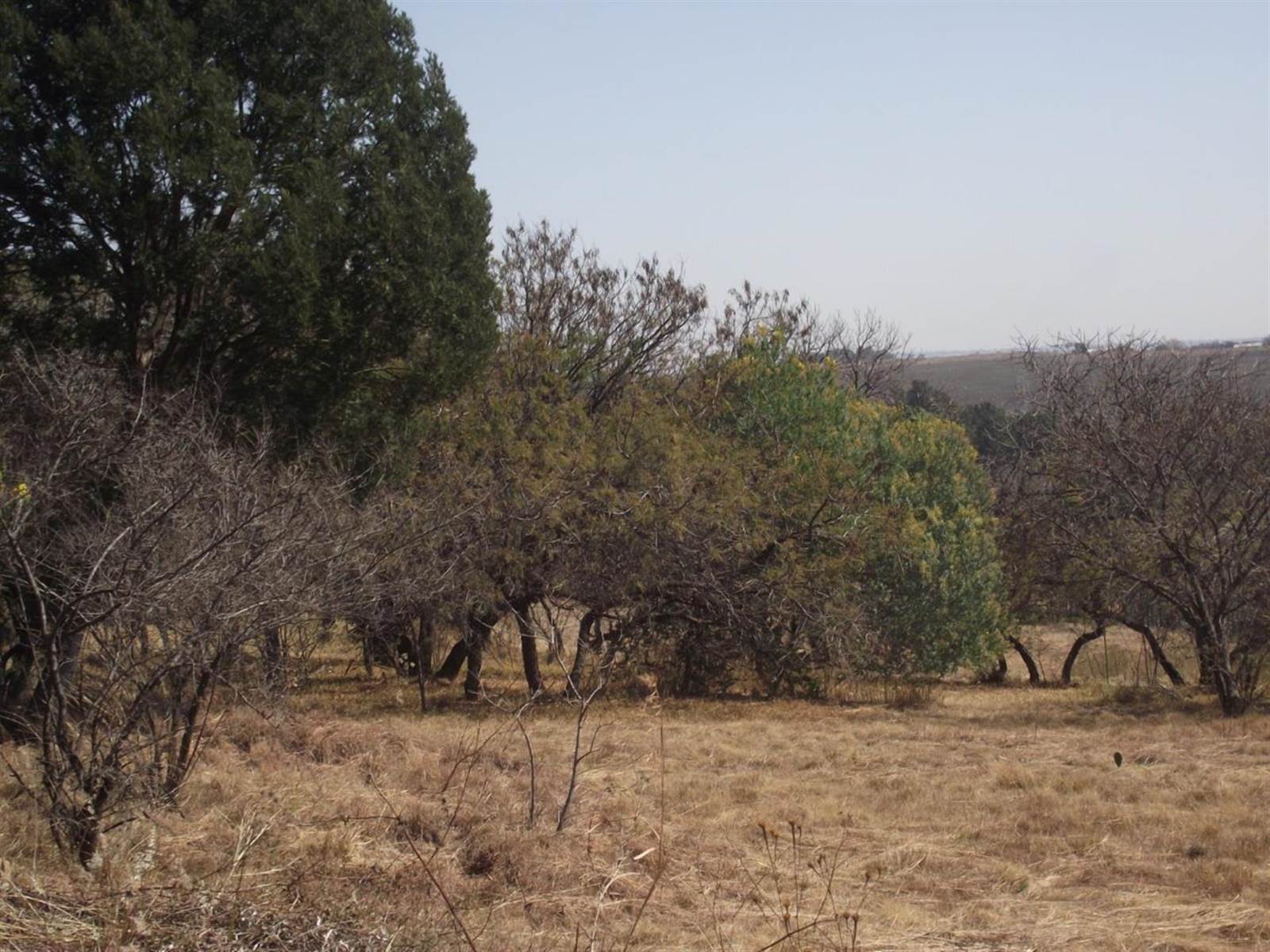 1.1 ha Land available in Doringkloof photo number 3