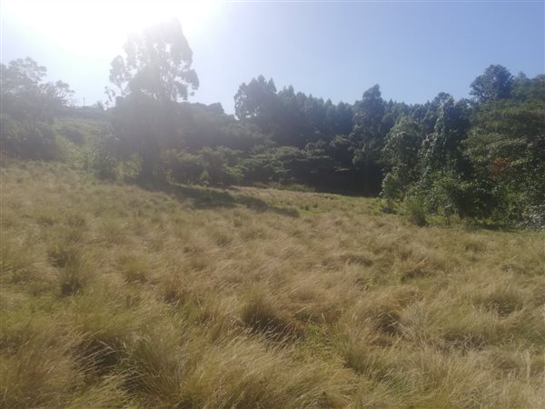 2500 m² Land available in Umzinto