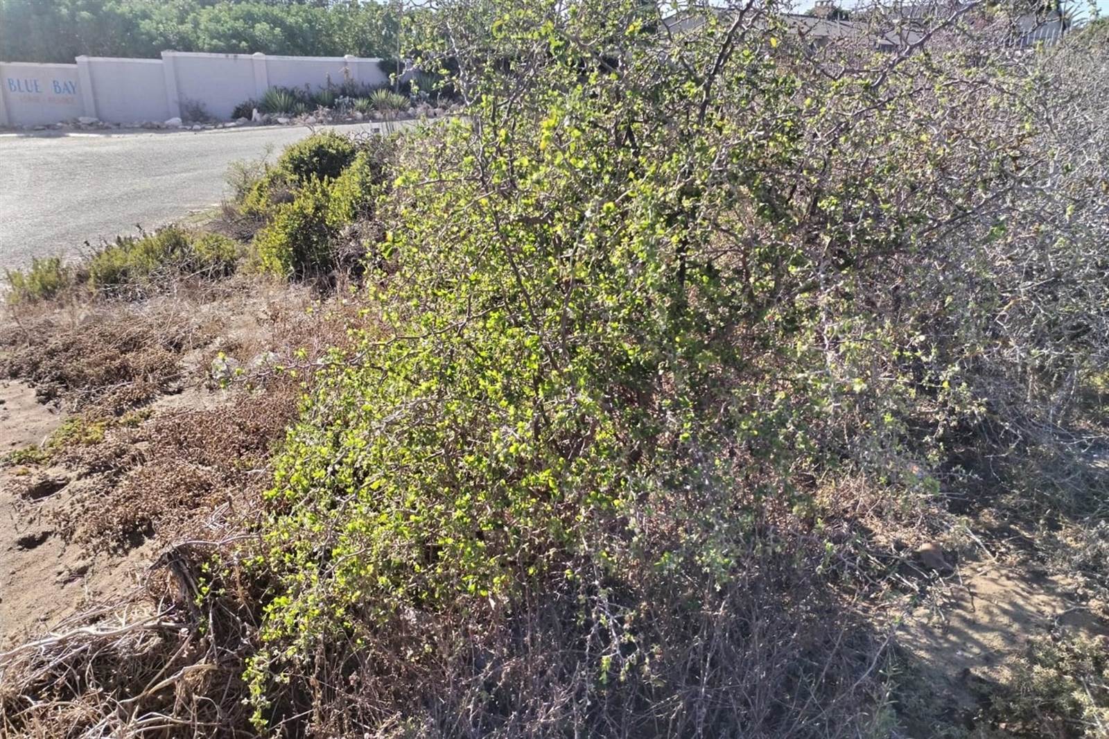 718 m² Land available in Saldanha photo number 11