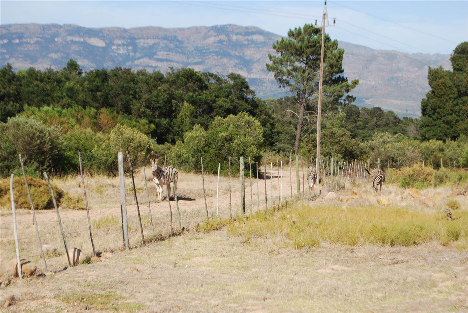 1042 m² Land available in Tulbagh photo number 3