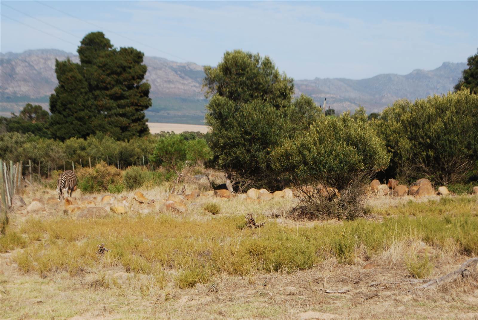 1042 m² Land available in Tulbagh photo number 8