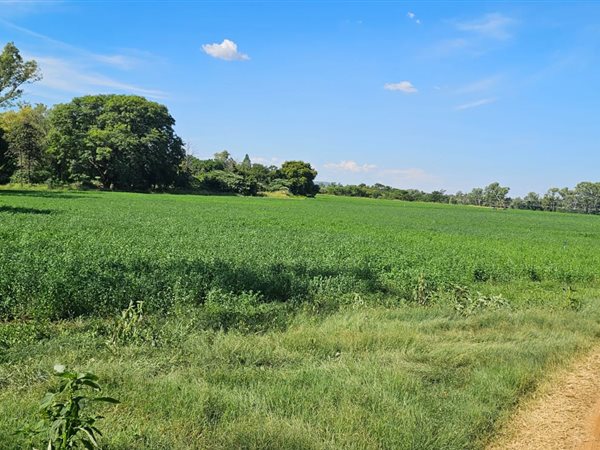 45 ha Farm