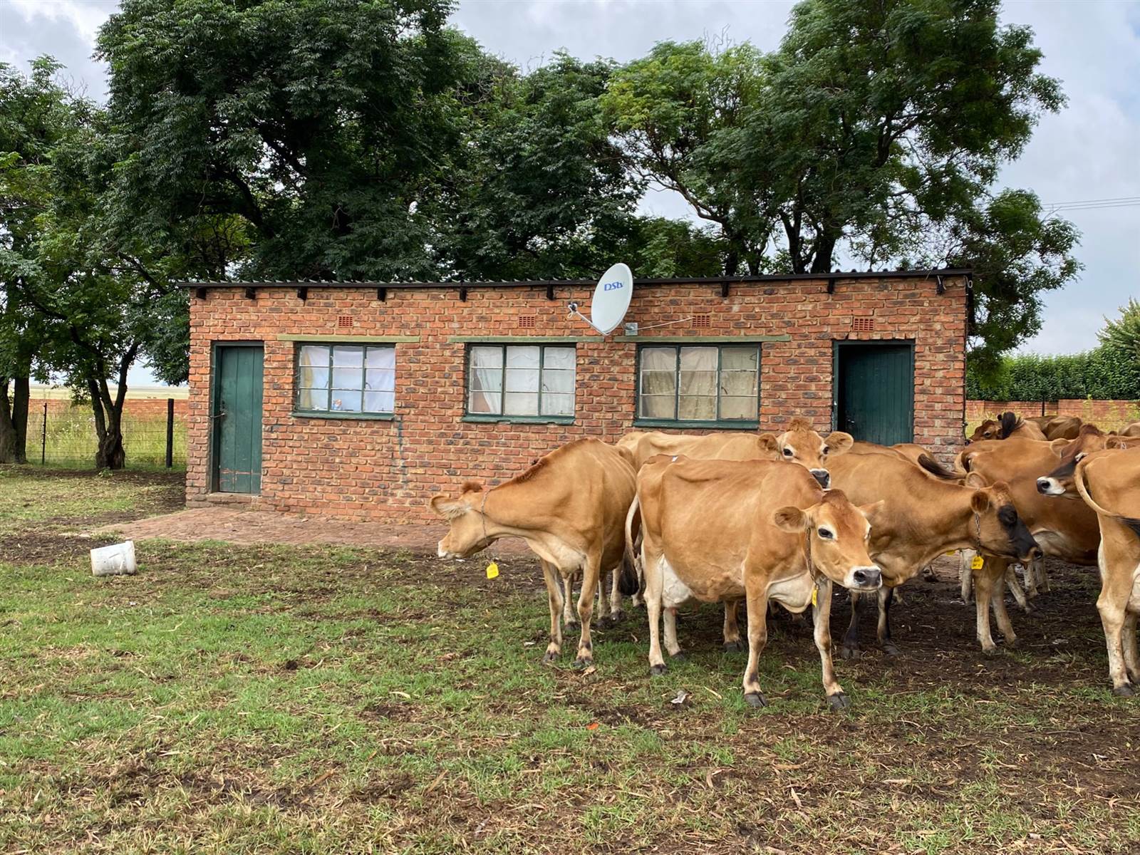 10.1 ha Farm in Delmas photo number 12