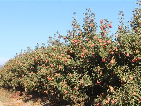 60 ha Farm 60 ha Farm