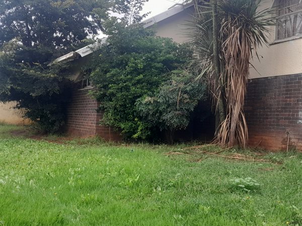 3 Bedroom House 3 Bedroom House