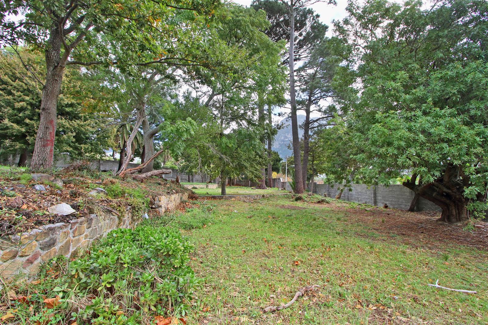 921 m² Land available in Claremont Upper photo number 13