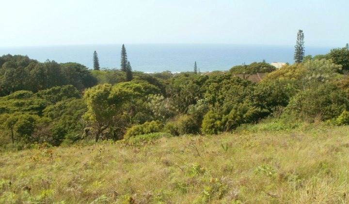 3610 m² Land available in Ramsgate photo number 11