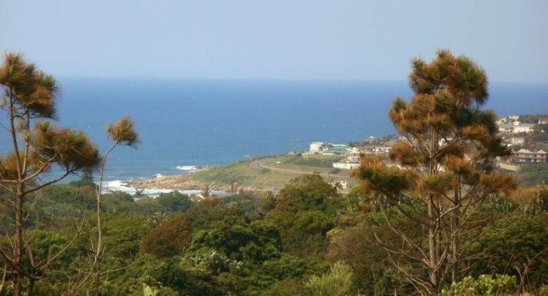 3610 m² Land available in Ramsgate photo number 10