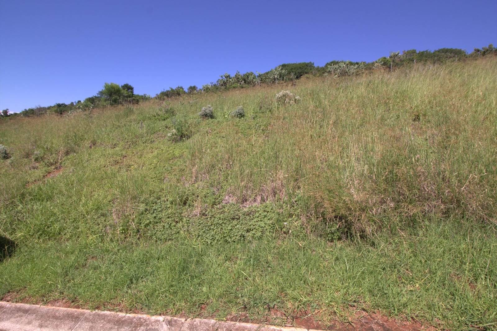 780 m² Land available in West Bank photo number 3
