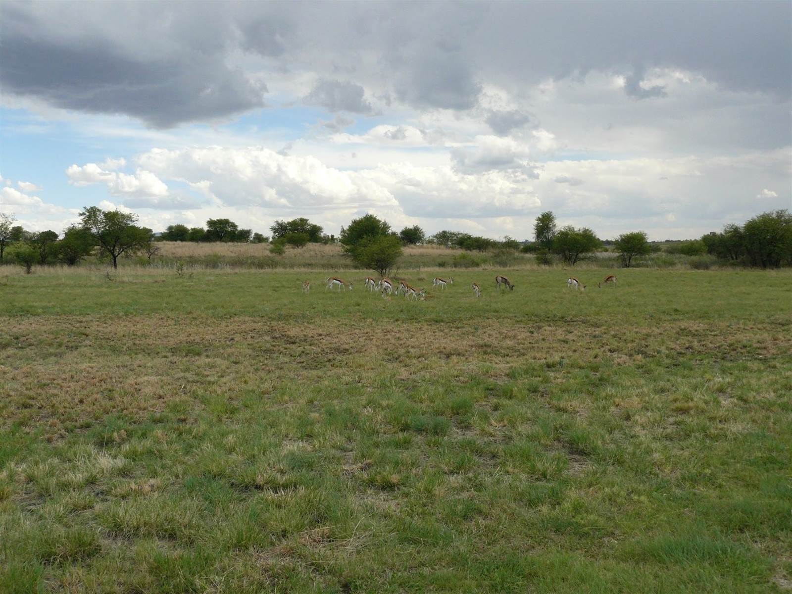 788 m² Land available in Parys Golf Estate photo number 3