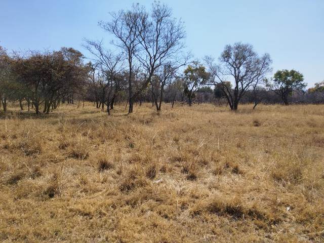 1004 m² Land available in Modimolle photo number 5