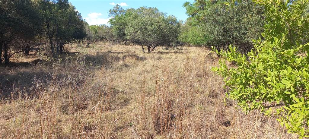 1004 m² Land available in Modimolle photo number 3