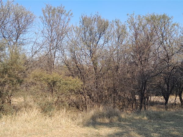 756 m² Land available in Leloko