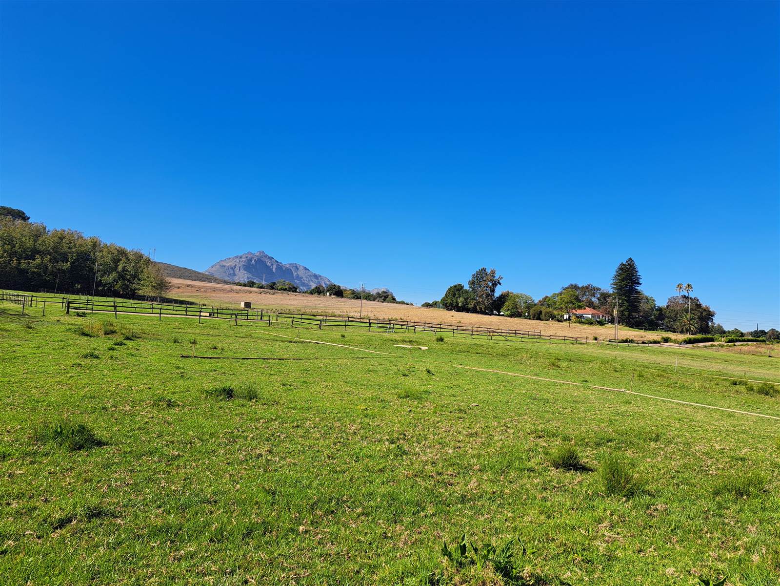 53 ha Farm in Stellenbosch Agricultural photo number 8