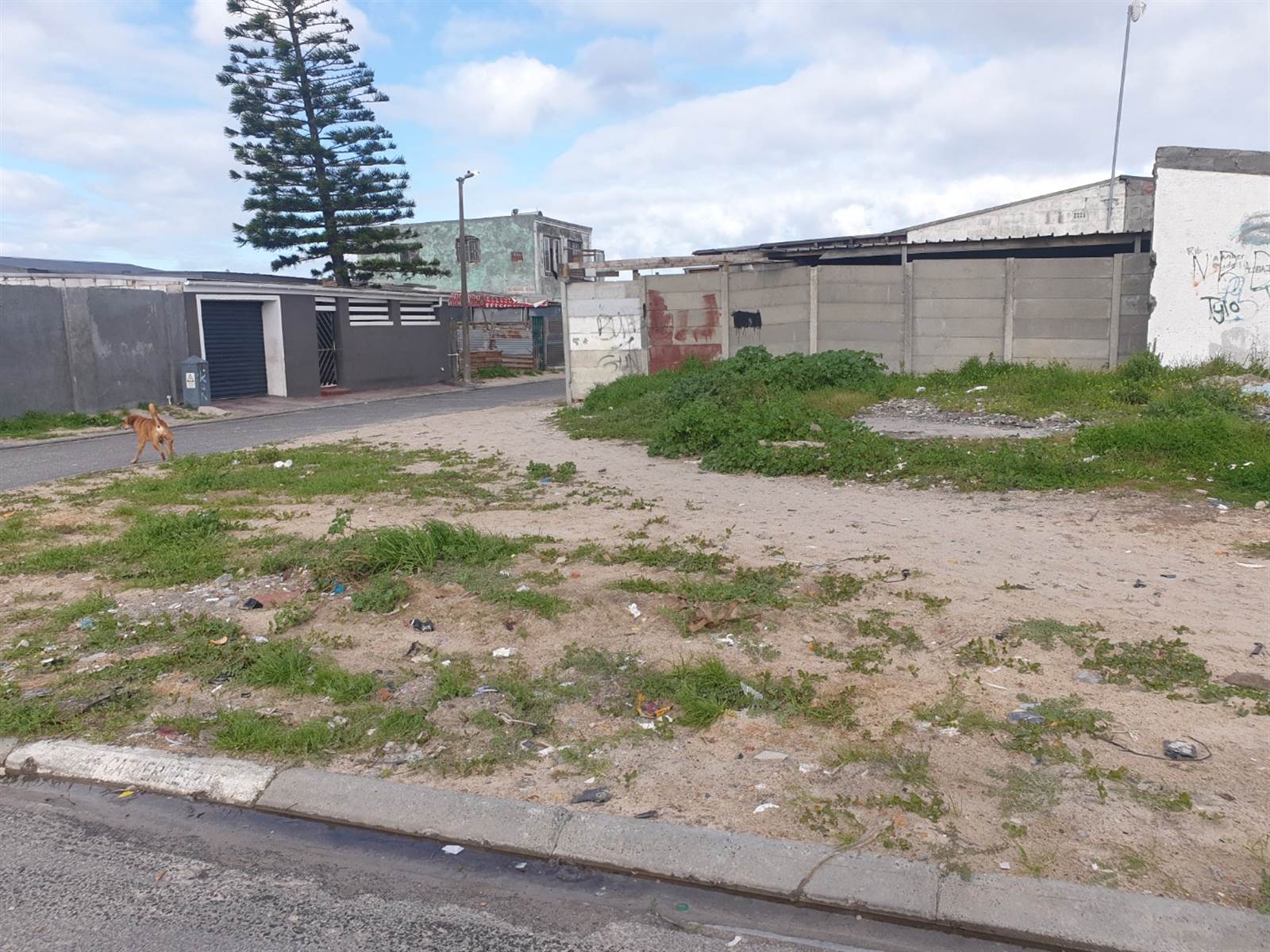 245 m² Land available in Lavender Hill photo number 1