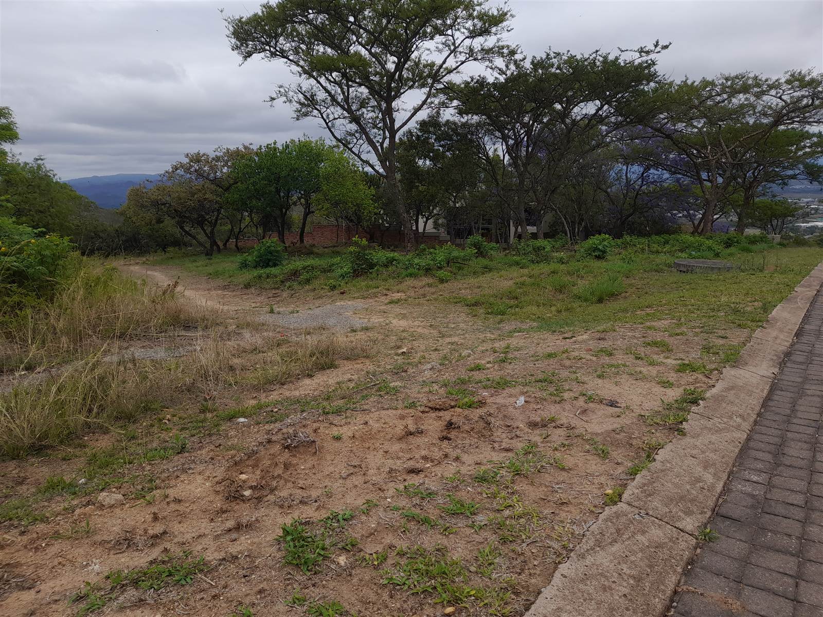 1230 m² Land available in Drum Rock photo number 3