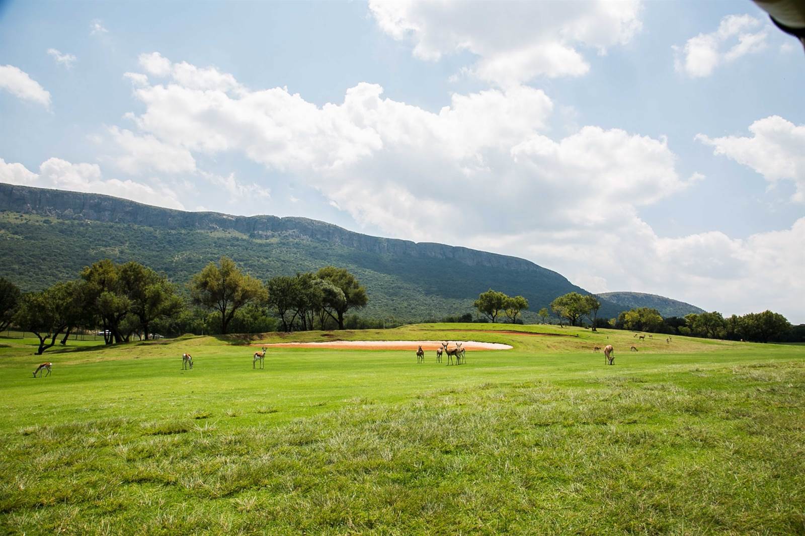 419 m² Land available in Magalies Golf Estate photo number 10