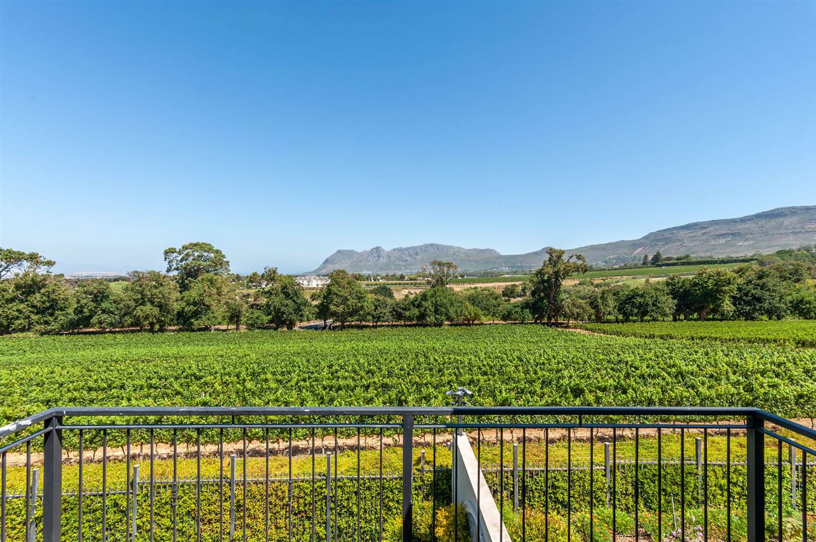 5 Bed House in Constantia Upper  photo number 8