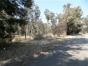 1.9 ha Land available in De Deur