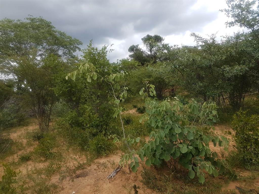 781 ha Farm in Thabazimbi photo number 9