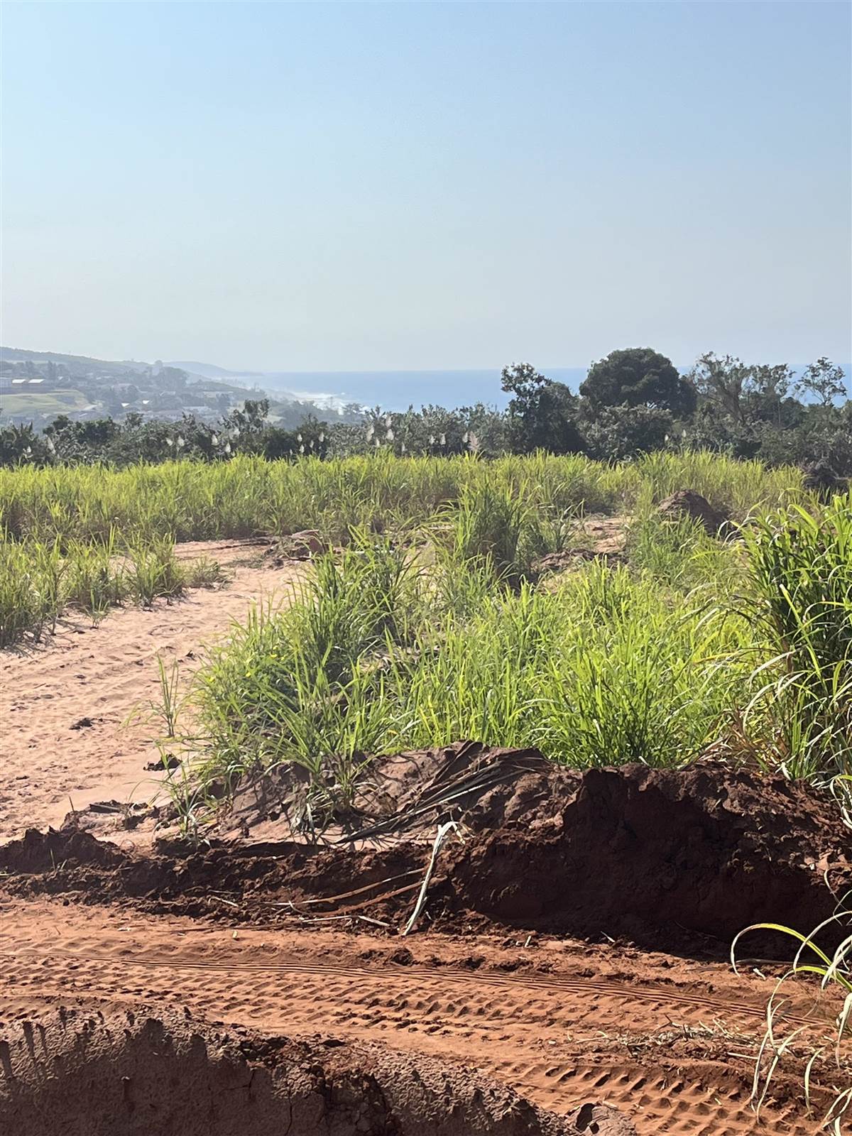2398 m² Land available in Umdloti Beach photo number 1