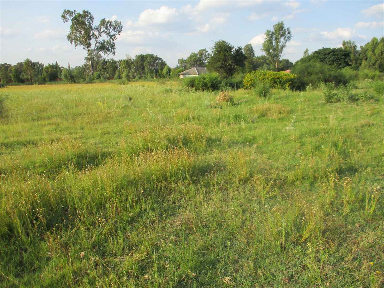 1.5 ha Land available in Riversdale photo number 8