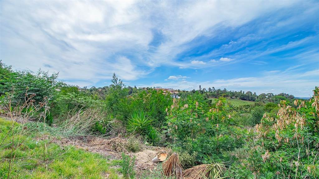 4956 m² Land available in Waterkloof Ridge photo number 5
