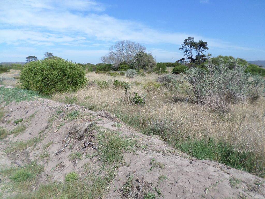 572 m² Land available in Fraaiuitsig photo number 12